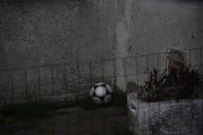 احتواءالزمالكجمالوسحرالحيالأرستقراطيبالقاهرة